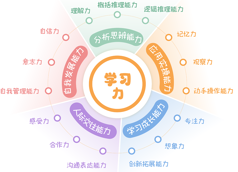 教育新生态：学习力测评如何促进教育公平与效率