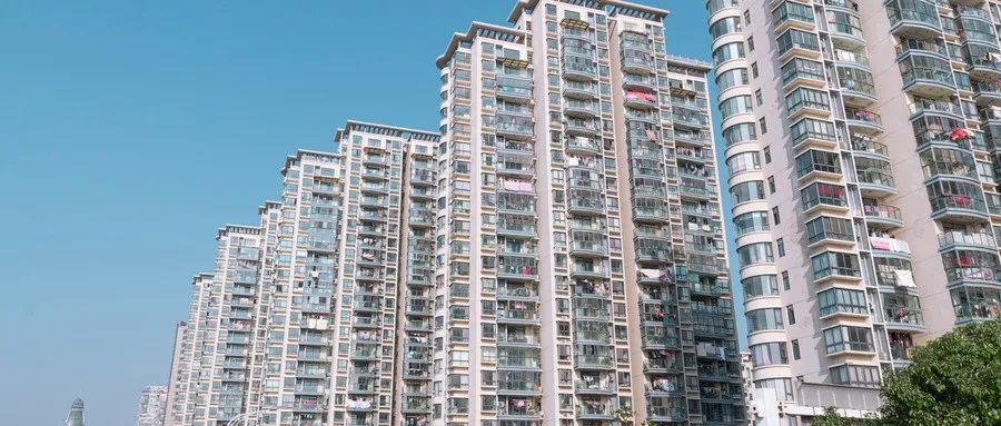 共同生活16年的“养子”，与百万遗产无缘？|守家观察