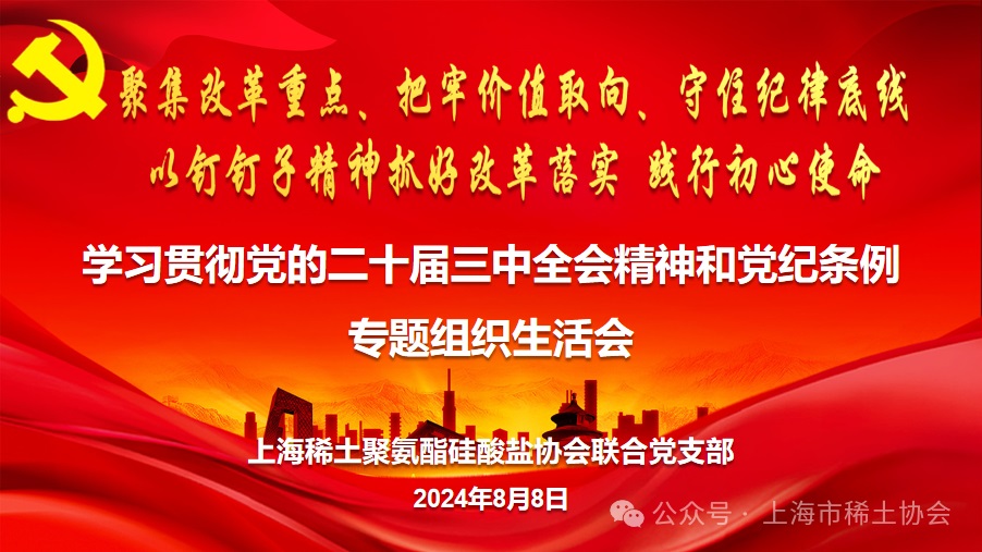 联合支部召开学习贯彻党的二十届三中全会精神专题组织生活会