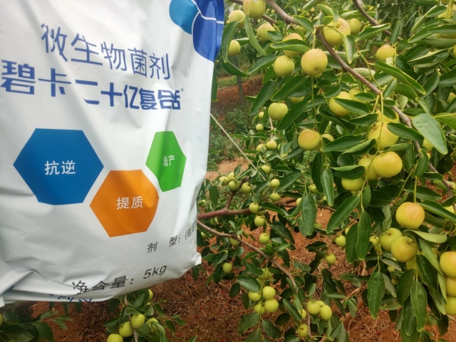 哪家微生物菌劑效果更給力呢？