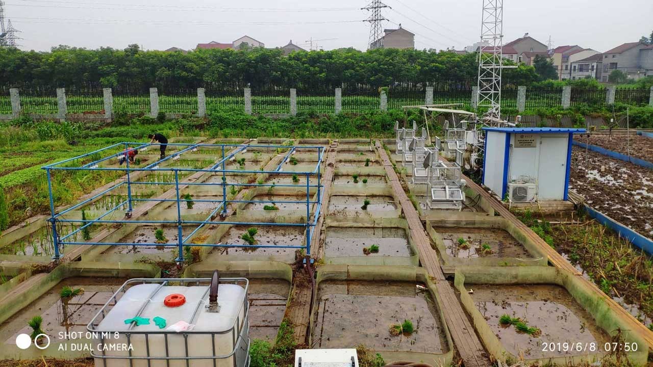 北京大學(xué)湖北荊州基地CO2、CH4、N2O大型群落同化箱通量測(cè)量系統(tǒng)