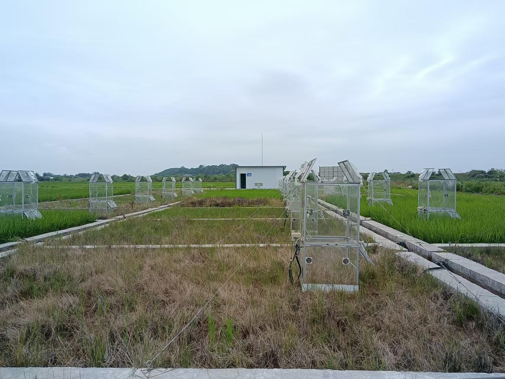 江西農(nóng)科院 SF3500高安基地