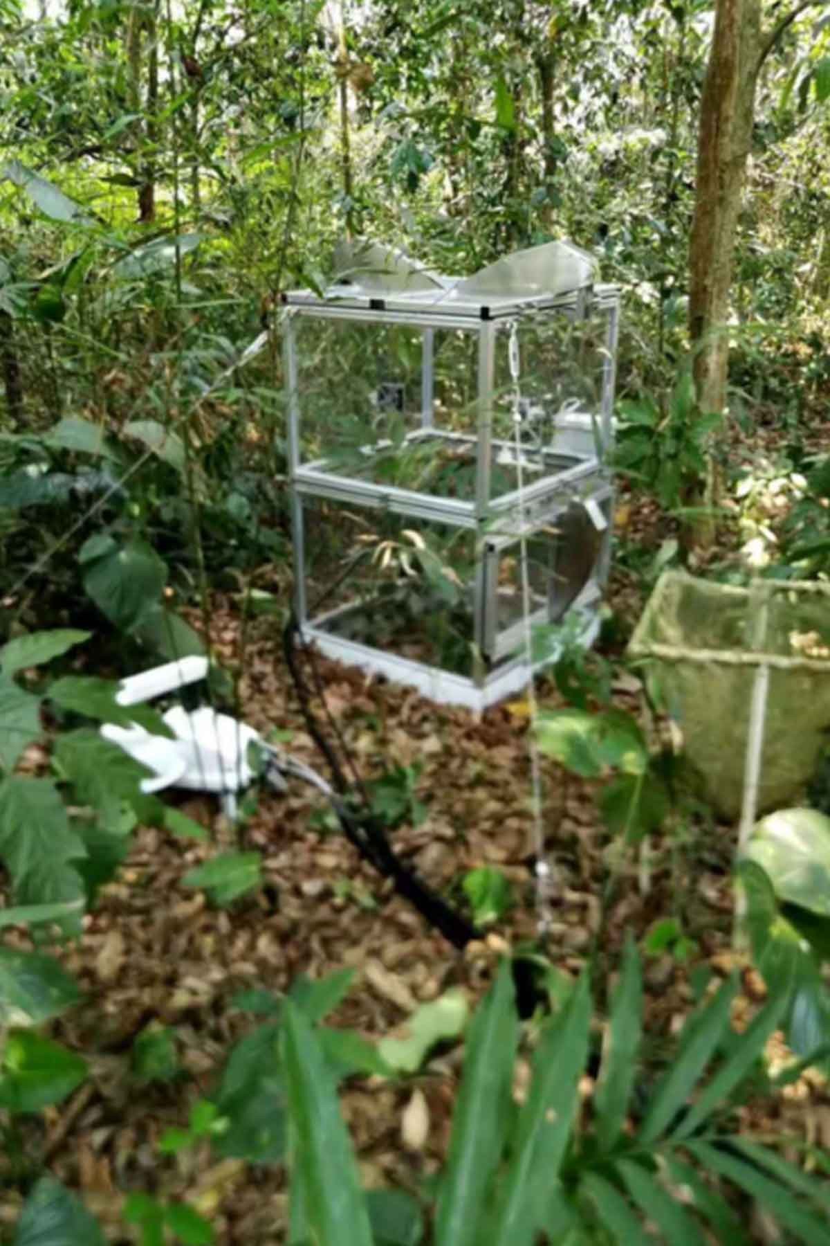 中科院版納植物園CO2同化箱測(cè)量系統(tǒng)