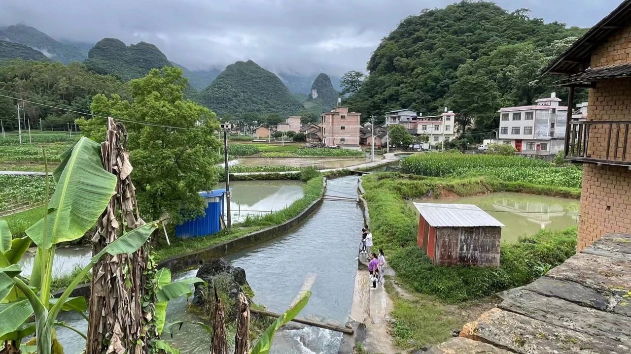 自然资源部明确：逐步实施耕地下山、果树上坡，耕地保护不是图上作业！