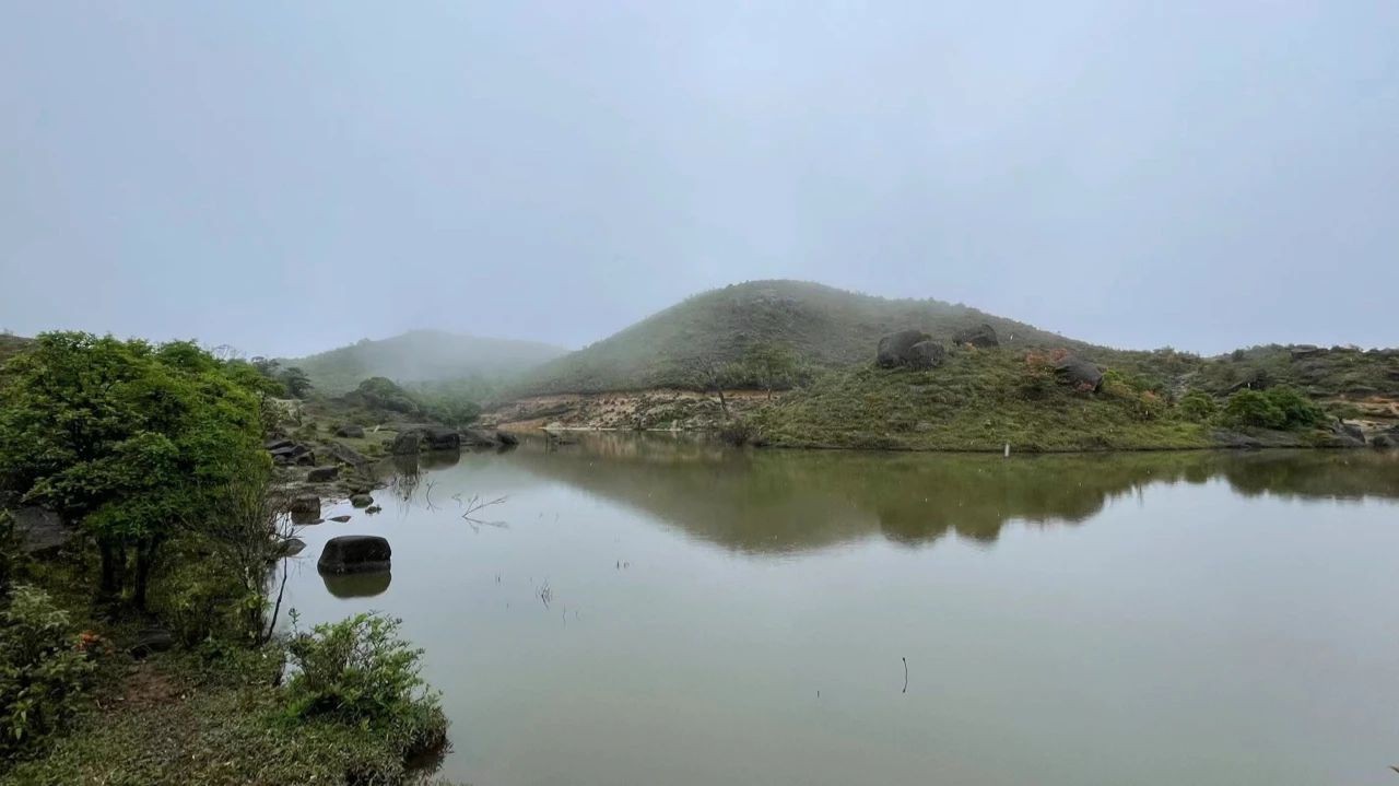 自然资源部明确：逐步实施耕地下山、果树上坡，耕地保护不是图上作业！