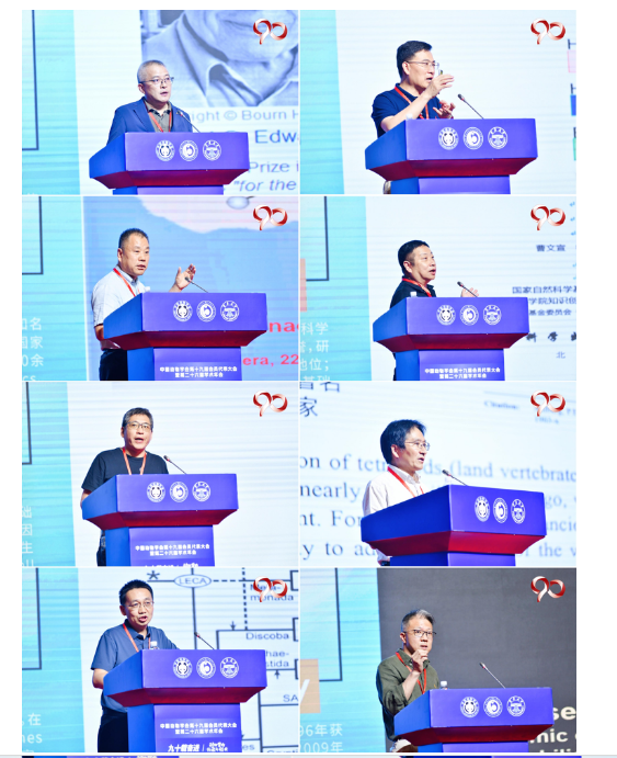 中国动物学会第十九届会员代表大会暨第26届学术年会、中国动物学会成立九十周年庆祝活动在云南昆明顺利召开 中国动物学会第十九届会员代表大会暨第26届学术年会、中国动物学会成立九十周年庆祝活动在云南昆明顺利召开