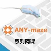 八臂迷宫-ANY-maze动物行为跟踪分析软件使用课程