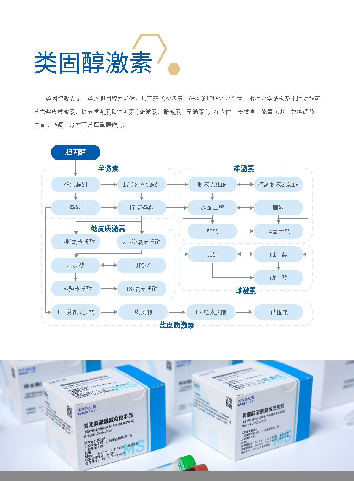 类固醇激素检测