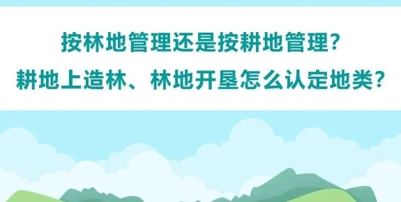 耕地上造林、林地开垦怎么认定地类？