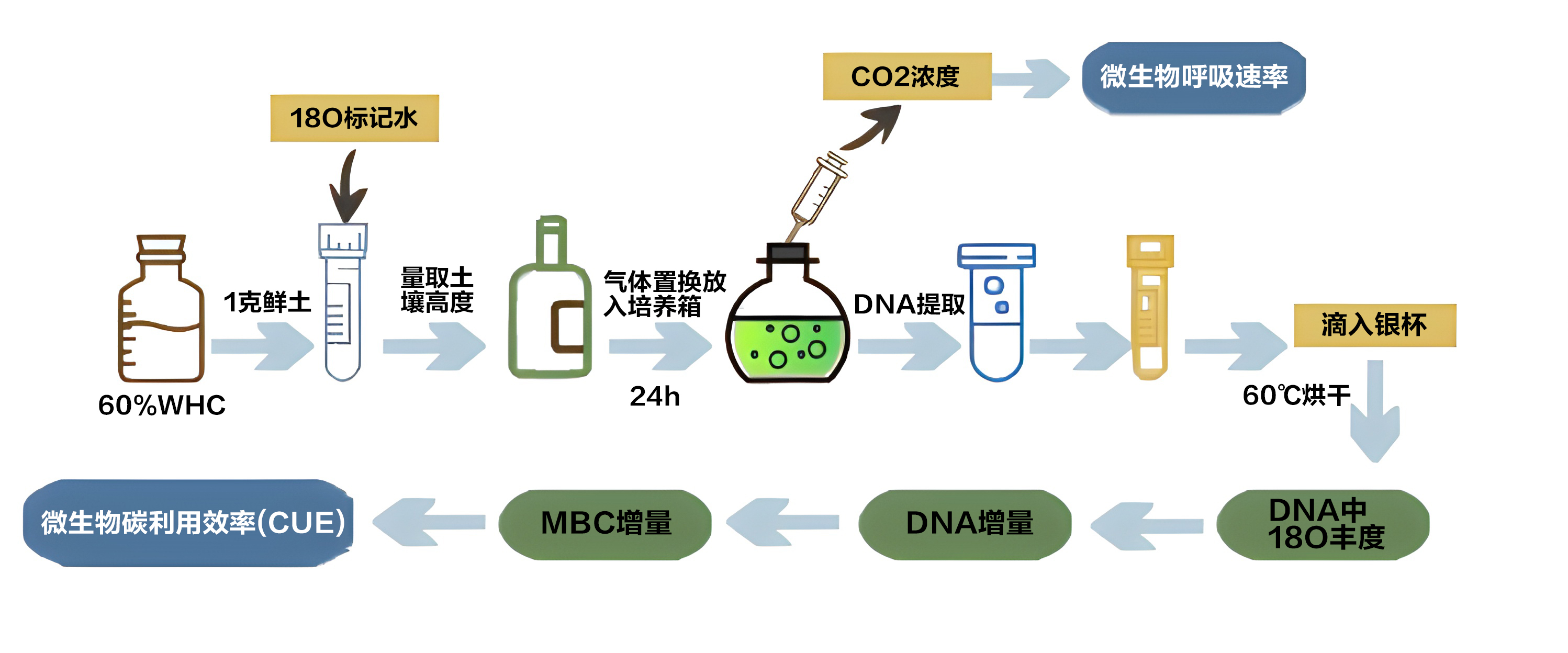 土壤微生物碳利用效率CUE實(shí)驗(yàn)方法介紹