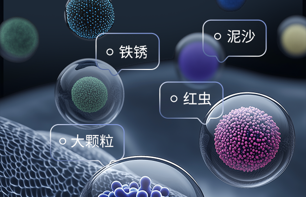 P6前置過濾器