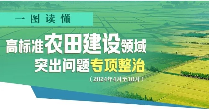 一图读懂丨高标准农田建设领域突出问题专项整治