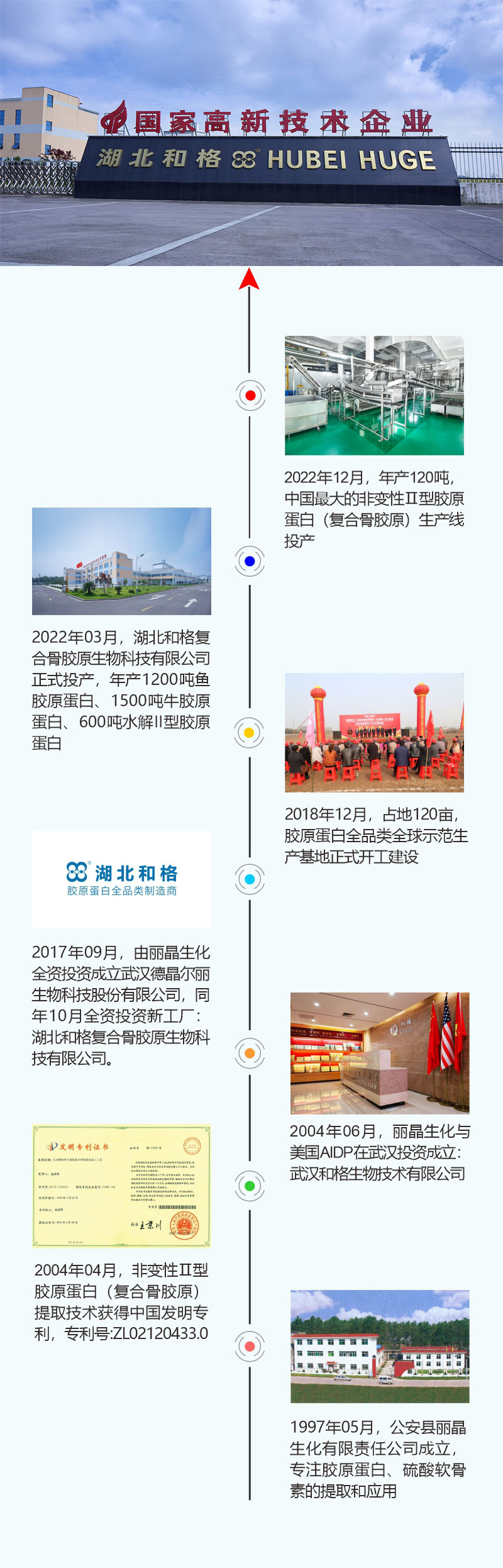 发展历程
