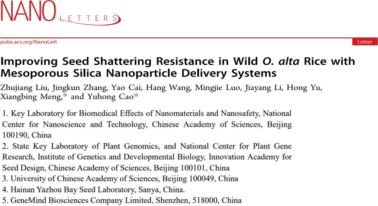 Nano Letters丨SURFSeq 5000助力國家納米科學中心開展四倍體野生稻落粒性研究