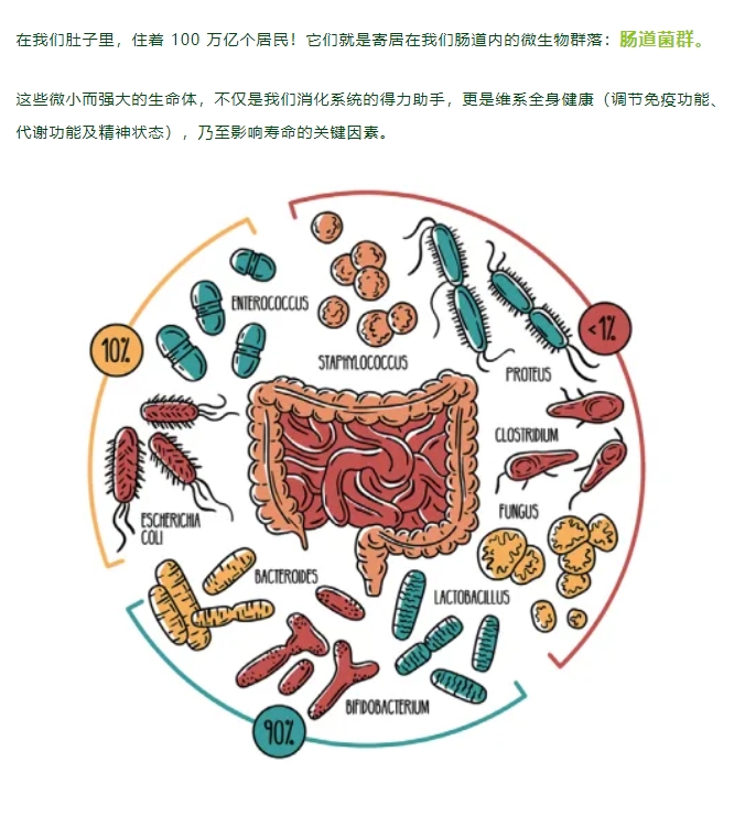 要长寿先「肠」寿，95% 的疾病与肠菌有关