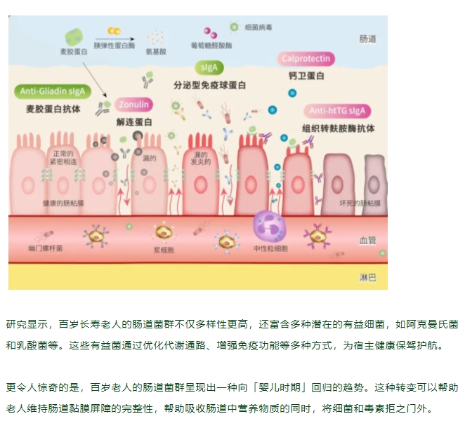 要长寿先「肠」寿，95% 的疾病与肠菌有关