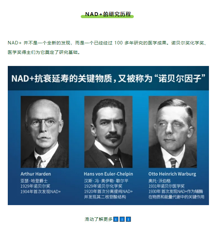 风靡全球的 NAD+，何以神奇？