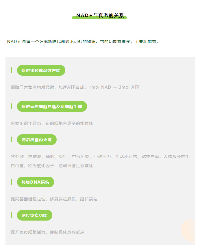 风靡全球的 NAD+，何以神奇？