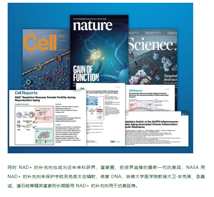 风靡全球的 NAD+，何以神奇？