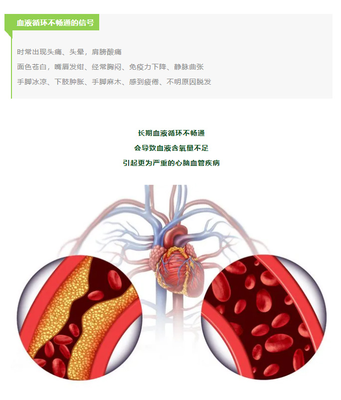 改善血液循环，预防心脑血管疾病