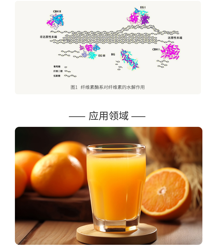 永利集团3044固体食品级纤维素酶1.1万酶活(破解植物细胞壁/降解纤维素)FDG-2225