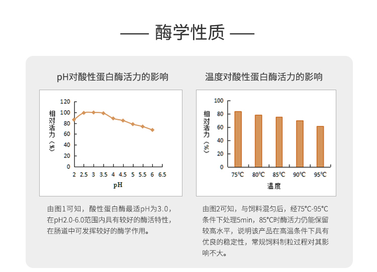 永利集团3044固体饲料酸性蛋白酶6万酶活(H型/水解蛋白质)SDG-2422