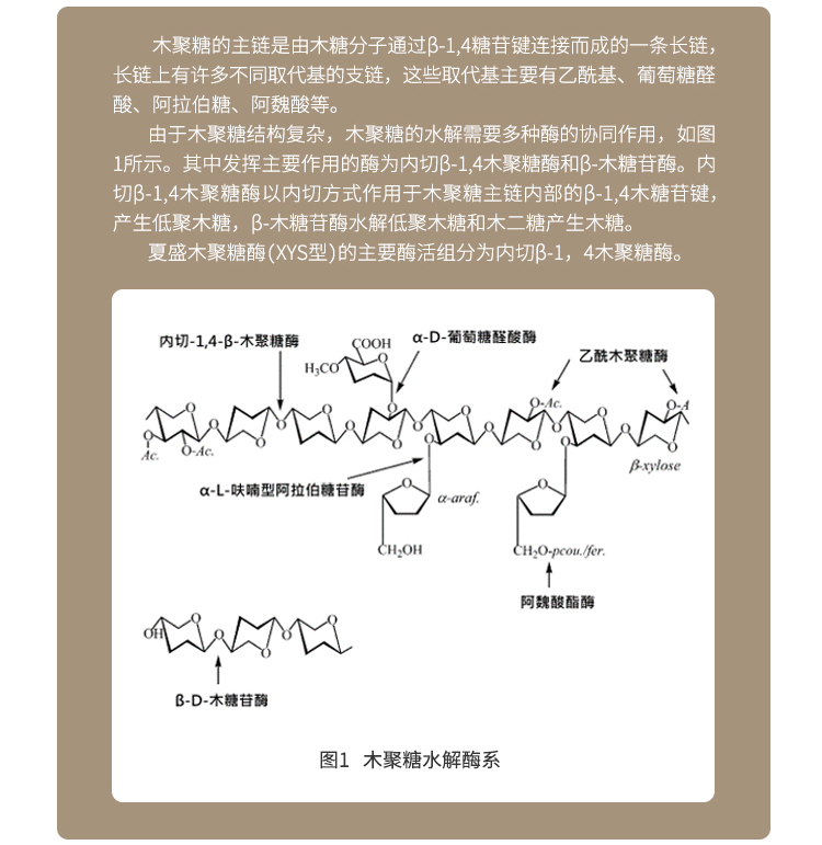 永利集团3044固体食品级木聚糖酶28万酶活(多酶协同作用/降解木聚糖)FDG-2221