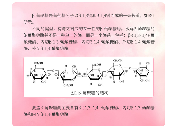 夏盛液体食品级β-葡聚糖酶2.7万酶活(BGL型/降解细胞壁中的β-葡聚糖)FDY-2233