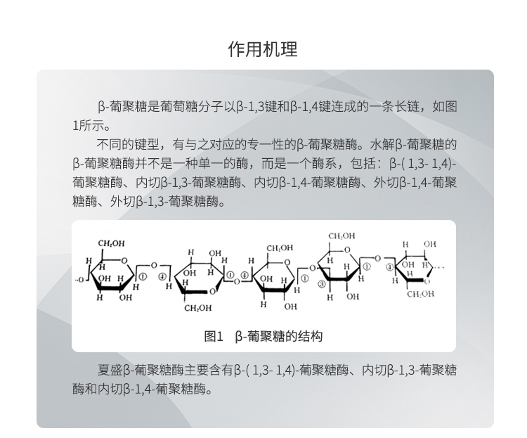 夏盛固体食品级β-葡聚糖酶13万酶活(BGS型/降解细胞壁中的β-葡聚糖)FDG-2219