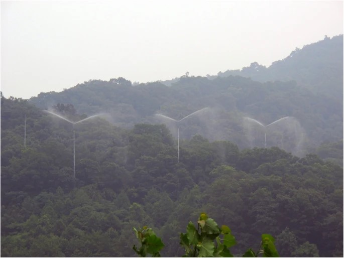 文獻解讀| 林冠和林下氮素添加對溫帶森林土壤微生物殘體碳的影響不同