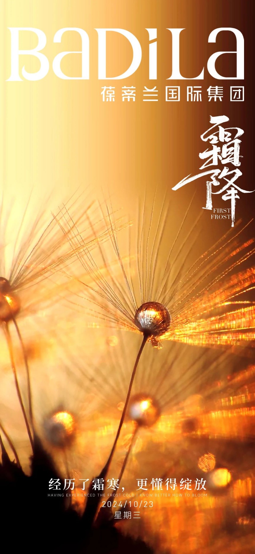 霜降| 秋色尽染霜华·时光璀璨绽放