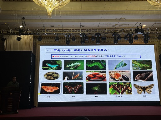 山东省蚕桑高效绿色生产技术培训班暨蚕桑产业高质量发展研讨会在青州召开 山东省蚕桑高效绿色生产技术培训班暨蚕桑产业高质量发展研讨会在青州召开