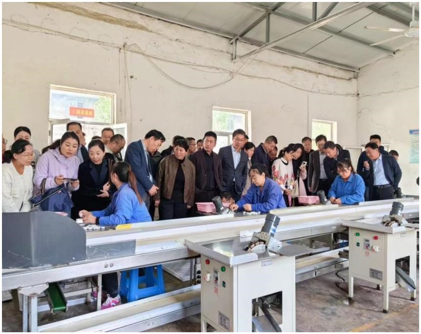 山东省蚕桑高效绿色生产技术培训班暨蚕桑产业高质量发展研讨会在青州召开