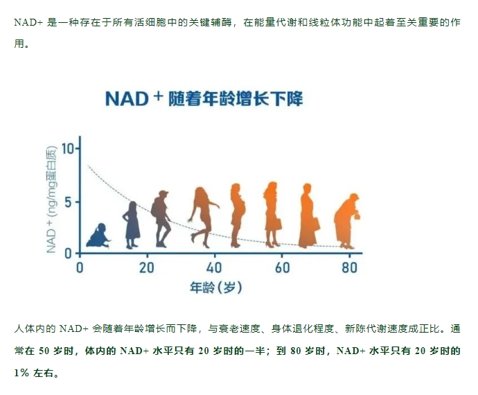 这是不是你——凹陷、下垂、毛孔粗大法令纹、木偶纹、眼下细纹