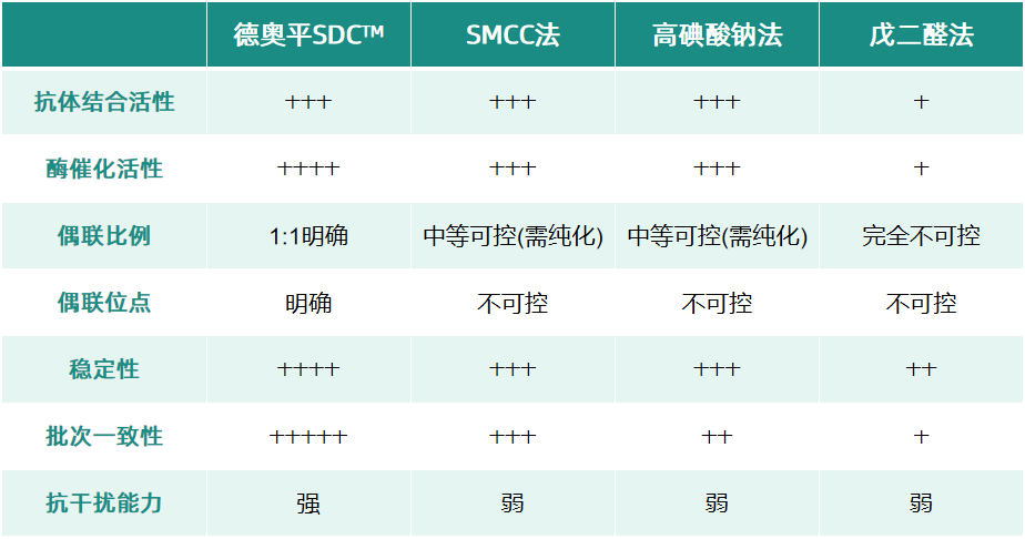SDC抗体偶联物系列产品