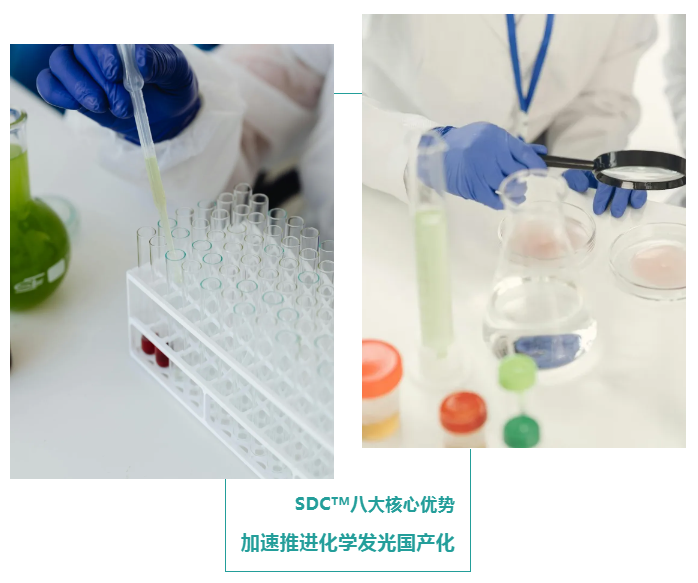 SDC抗体偶联物系列产品