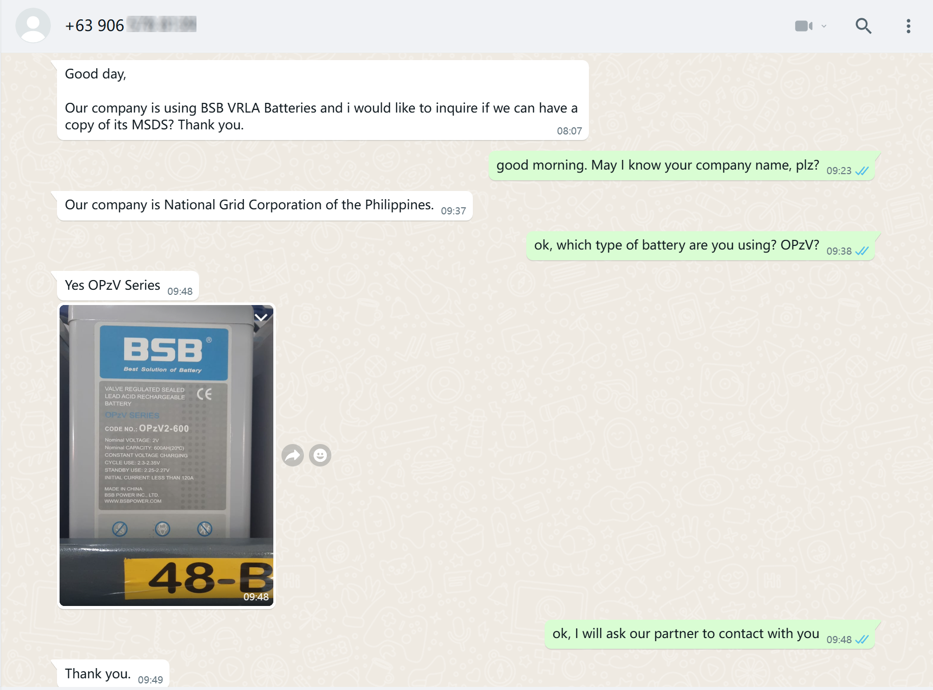 OPzV2-600 batteries in Philippine State Grid