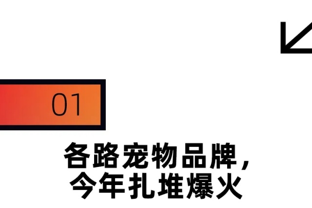 年輕人的“養(yǎng)娃平替”，今年在天貓爆了