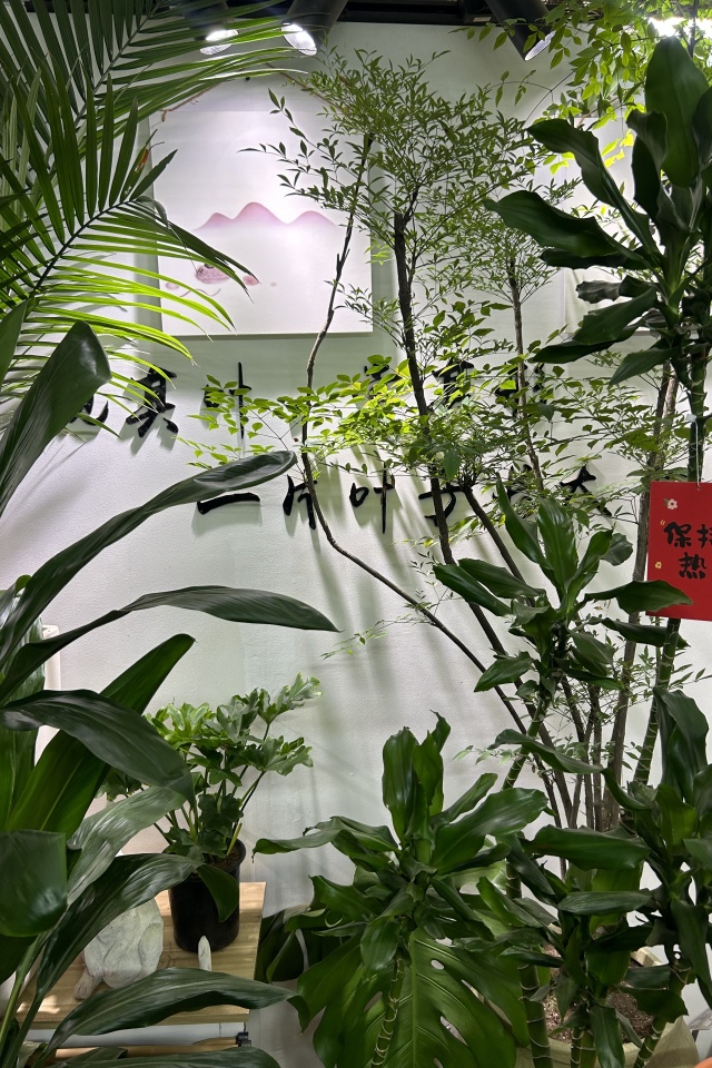 植物與空間：生活中不可缺少的生命力