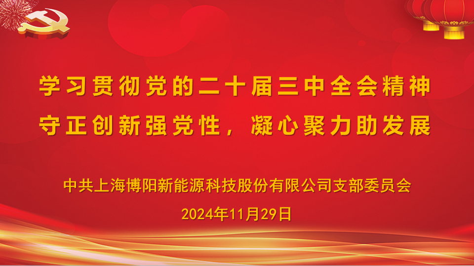 88805tccn新蒲京党支部开展“守正创新强党性，凝心聚力助发展”主题党日活动