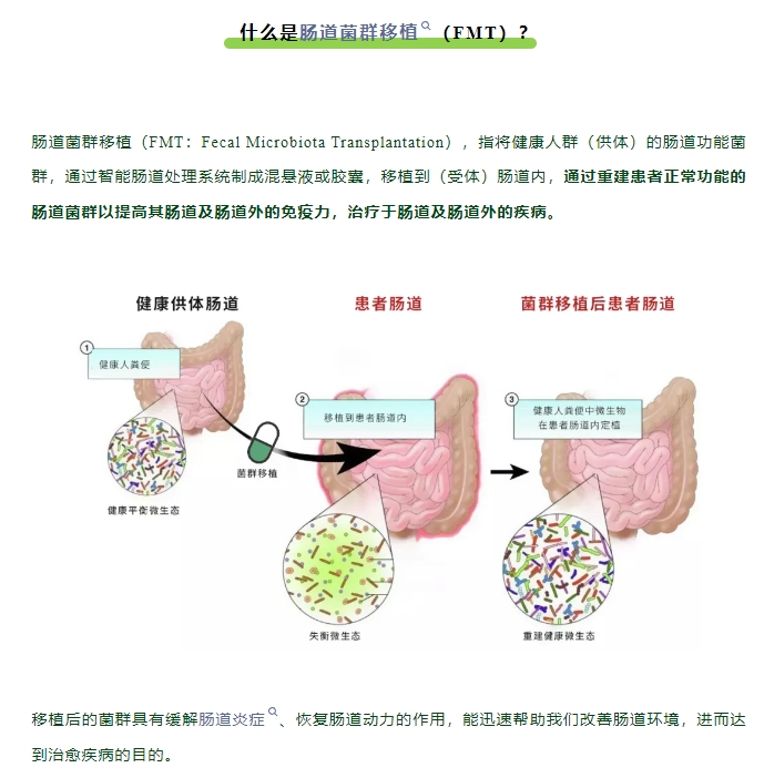 口服无创！菌群移植：改善肠道微生态，重塑健康年轻体