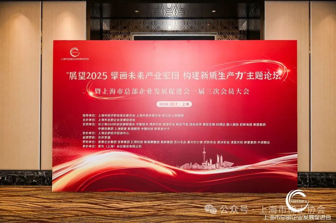 协会参加“展望2025 擘画未来产业宏图 构建新质生产力”主题论坛