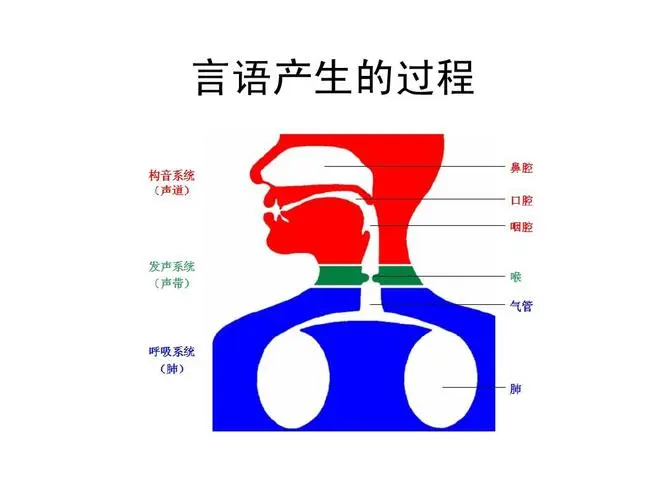 【育聪】构音障碍的发音训练方法