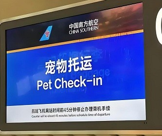 辦理南航寵物隨機托運小動物托運收費標準