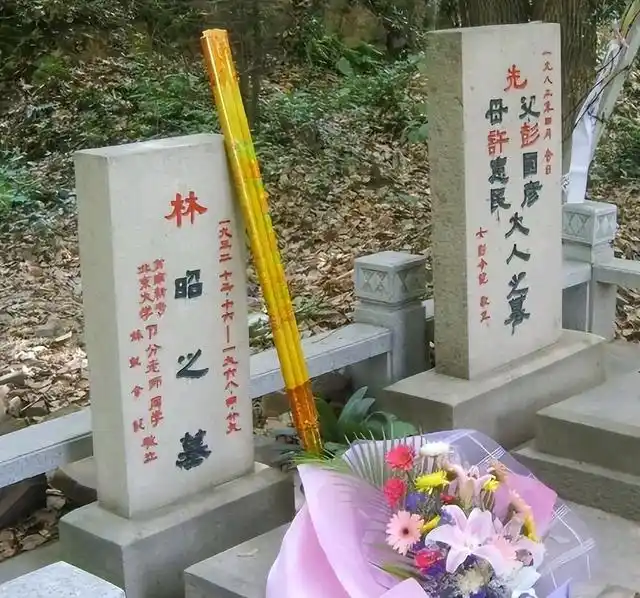 林昭死后父亲服药自杀，母亲精神失常，还要被索要5分钱的子弹费