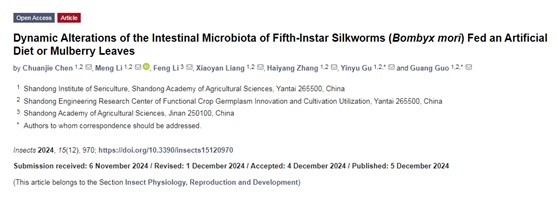 省蚕桑体系解析5龄家蚕幼虫肠道微生物菌群的动态变化 省蚕桑体系解析5龄家蚕幼虫肠道微生物菌群的动态变化