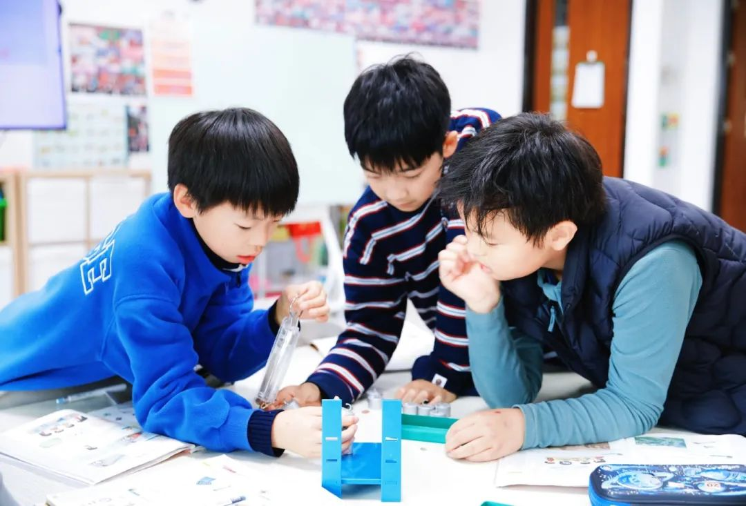 枫叶小熊小学英语浸入式多元体验营开启报名！