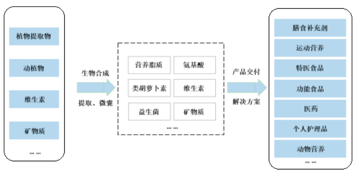 2025-2031年生物制造行业市场监测及投资环境评估预测报告-中金企信发布 2025-2031年生物制造行业市场监测及投资环境评估预测报告-中金企信发布