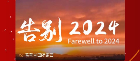 告别2024·迎接2025 | 在追梦路上步履不停！