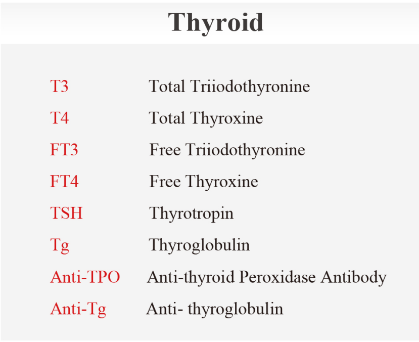 Interfering factors in thyroid hormones and function tests